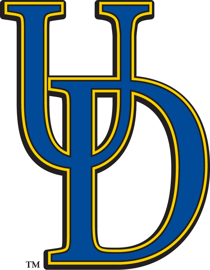 Delaware Blue Hens 2009-2018 Secondary Logo DIY iron on transfer (heat transfer)
